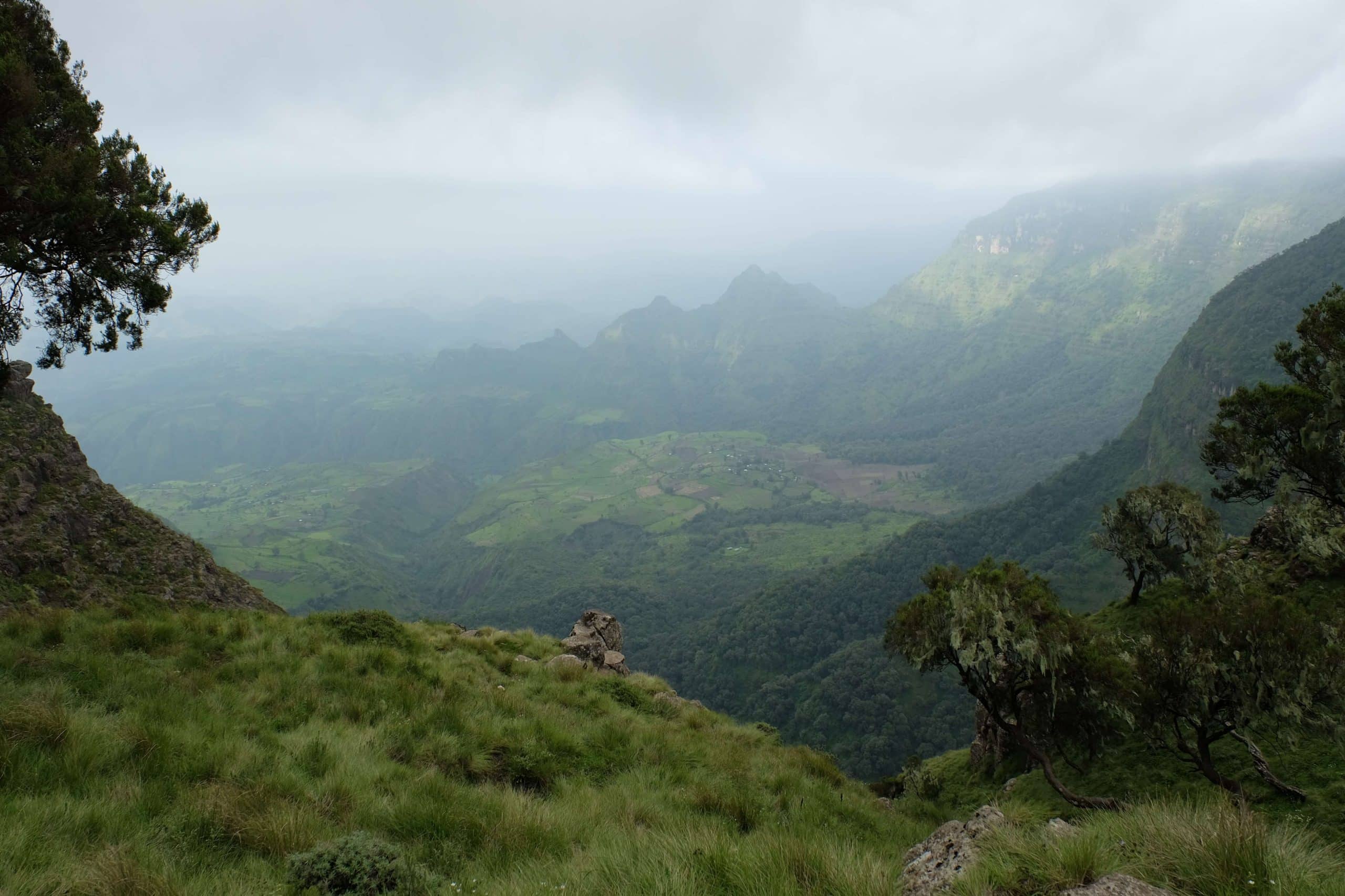 A landscape image of the Simien Mountains